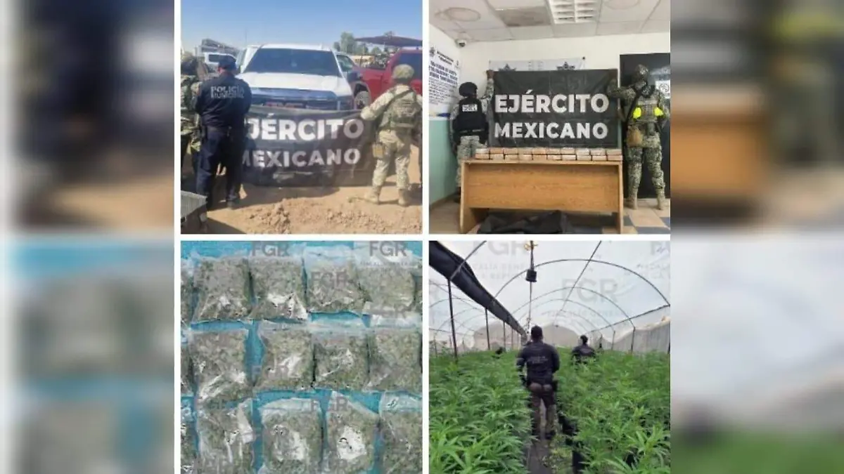 Más de mil millones de pesos han sido retirados al crimen organizado en Nayarit tras diversos decomisos