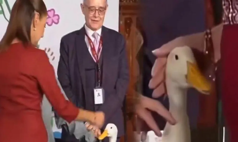 Pato Merlín intenta picotear a Claudia Sheinbaum durante la mañanera y se vuelve viral